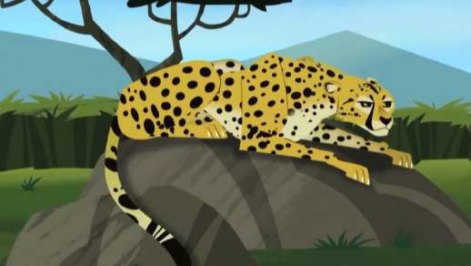 猎豹属都有哪些