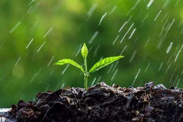 好雨知时节当春乃发生的意思