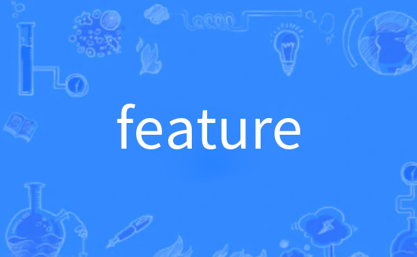 feature是什么意思