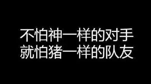 猪一样的队友前一句是什么