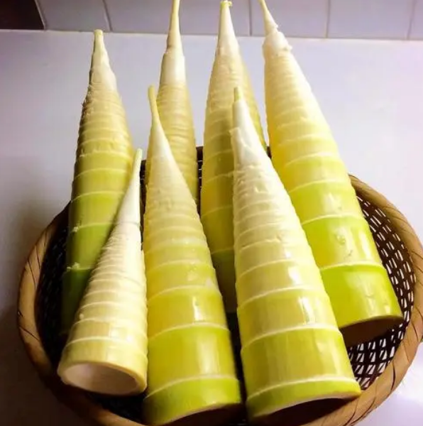 哪些人不能吃竹笋