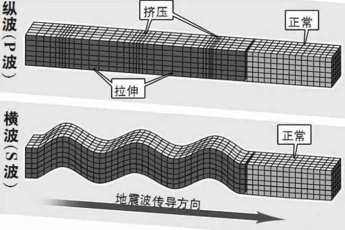 横波纵波的区别
