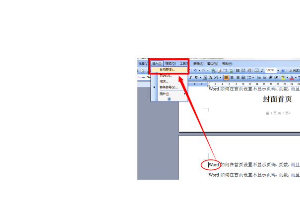 首页不显示页码怎么设置