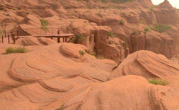 水土流失的危害有哪些
