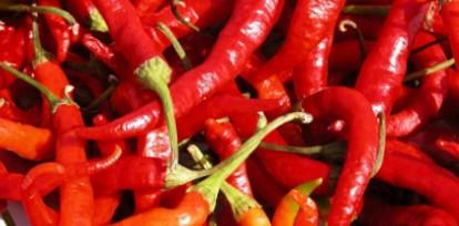 辣椒糊最正宗做法（辣椒糊怎么做?）