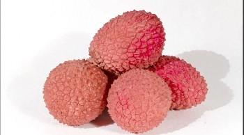 水果的英文有哪些（水果的英语有哪些）