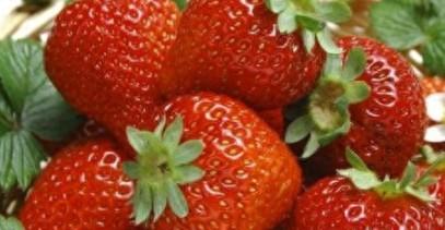 草莓有什么功效与作用（草莓的功效和副作用）