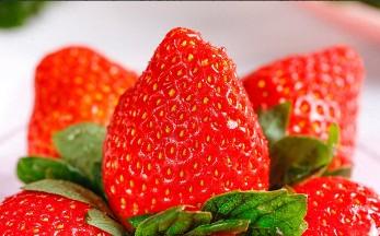 写草莓的外形.颜色.味道（写草莓的外形.颜色.味道的作文）