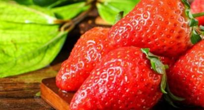 世界顶级草莓（世界顶级草莓品种）