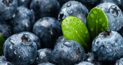 吃蓝莓的七大禁忌（吃蓝莓有什么好处和坏处）