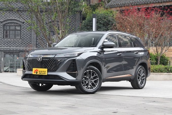 12月都有什么节日(12月份有什么节日和纪念日)