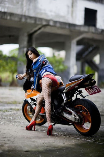 手工瓷器制作过程(中国瓷器制作过程)